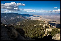 Northeast view over forest and desert from Rincon Peak. Saguaro National Park ( color)