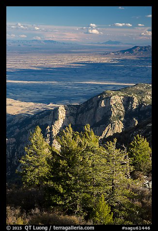 Pine trees, cliffs, and desert from Rincon Peak. Saguaro National Park (color)