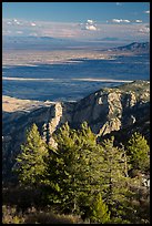 Pine trees, cliffs, and desert from Rincon Peak. Saguaro National Park ( color)