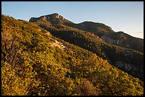 Rincon Peak at sunset. Saguaro National Park ( color)