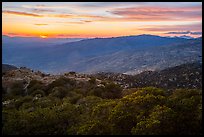Sunset from Rincon mountains. Saguaro National Park ( color)