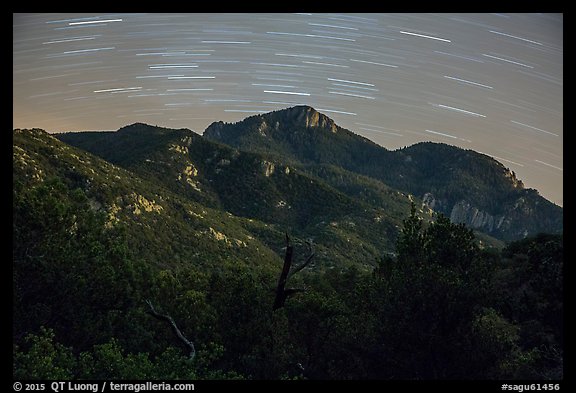 Rincon Peak at night with star trails. Saguaro National Park, Arizona, USA.