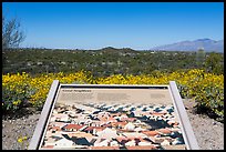 Good neighbors interpretive sign. Saguaro National Park, Arizona, USA.