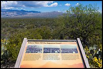 Where have all the saguaro gone interpretive sign. Saguaro National Park, Arizona, USA.