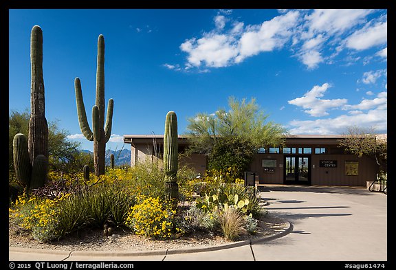 Rincon Visitor Center. Saguaro National Park (color)