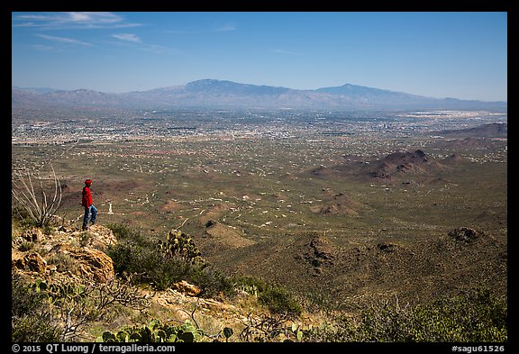 Visitor looking, Wasson Peak overlooking Tucson. Saguaro National Park (color)
