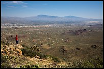 Visitor looking, Wasson Peak overlooking Tucson. Saguaro National Park ( color)