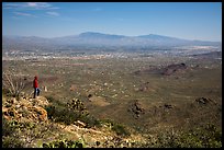 Visitor looking, Wasson Peak overlooking Tucson. Saguaro National Park, Arizona, USA.