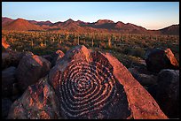 Petroglyphs on Signal Hill and Tucson Mountains at sunset. Saguaro National Park ( color)