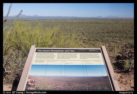 Desert Ecosystem interpretive sign. Saguaro National Park (color)