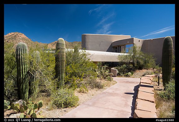 Red Hills Visitor Center. Saguaro National Park (color)