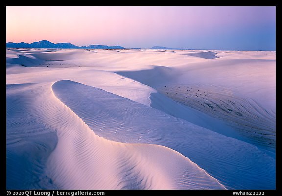 Dunes with lavender color at twilight. White Sands National Park (color)