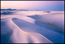 Dunes with lavender color at twilight. White Sands National Park ( color)