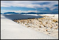 Backcountry camping area. White Sands National Park ( color)