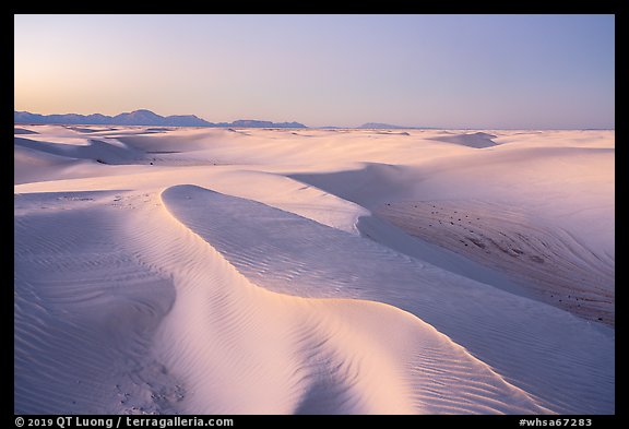 Dunes reflecting lavender colors of the sky at twilight. White Sands National Park (color)