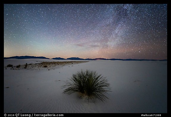 Yucca and Milky Way. White Sands National Park (color)