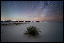 Yucca and Milky Way. White Sands National Park ( color)