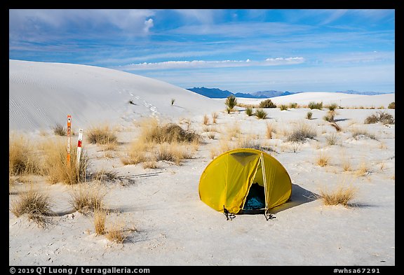 Tent at backcountry campsite. White Sands National Park (color)