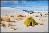 Tent at backcountry campsite. White Sands National Park ( color)
