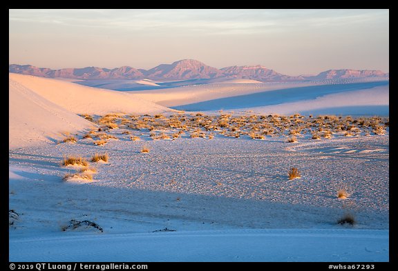 Dunes and flat depression at sunrise. White Sands National Park (color)