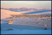 Dunes and flat depression at sunrise. White Sands National Park ( color)