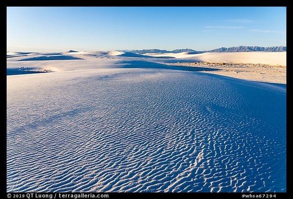 Dune field and Andres Mountains, early morning. White Sands National Park (color)