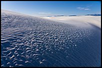 Heart of the Sands, early morning. White Sands National Park ( color)