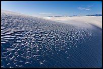 Heart of the Sands, early morning. White Sands National Park ( color)