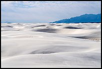 Worlds largest gypsum dune field. White Sands National Park ( color)