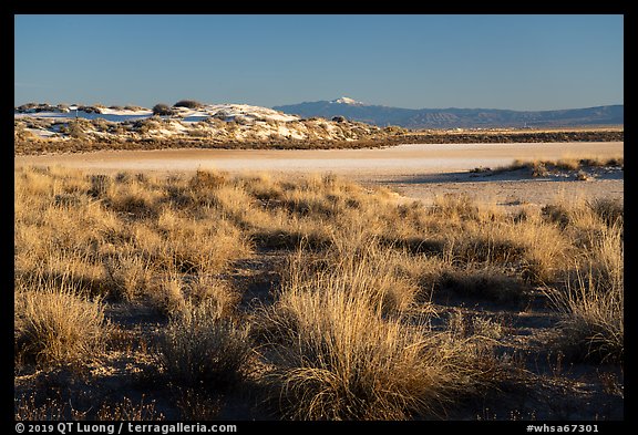 Shrubs, playa, and Sierra Blanca Peak. White Sands National Park (color)