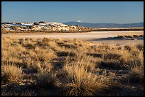 Shrubs, playa, and Sierra Blanca Peak. White Sands National Park ( color)