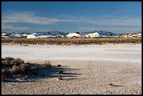 Playa and sand dunes. White Sands National Park ( color)