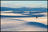 Couple hiking on dunes. White Sands National Park ( color)