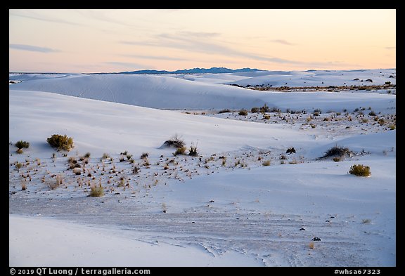 Dunes and interdunal depressions at sunset. White Sands National Park (color)