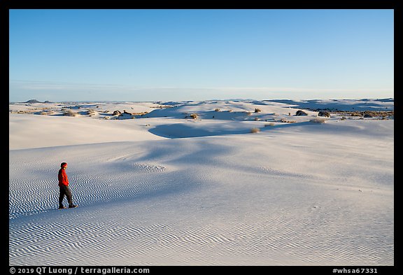 Visitor Looking, sand dunes. White Sands National Park, New Mexico, USA.