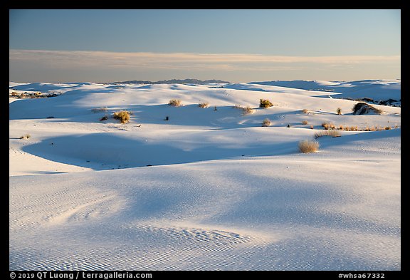 Gypsum sand dunes. White Sands National Park (color)