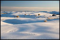 Gypsum sand dunes. White Sands National Park ( color)