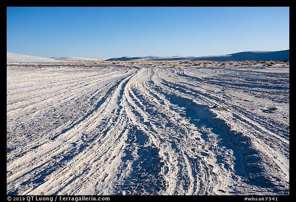 Interdunal area with dune footprints. White Sands National Park (color)