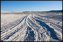 Interdunal area with dune footprints. White Sands National Park ( color)