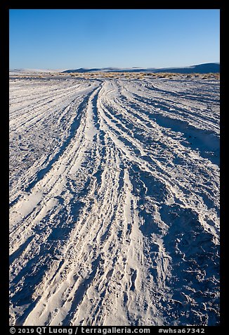 Dune footprints. White Sands National Park (color)
