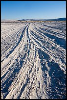 Dune footprints. White Sands National Park ( color)
