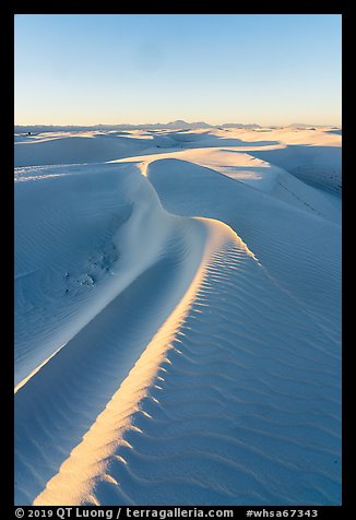 Last light on dune ridges. White Sands National Park (color)