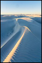 Last light on dune ridges. White Sands National Park ( color)