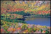 Eagle Lake, surrounded by slopes in fall foliage. Acadia National Park ( color)