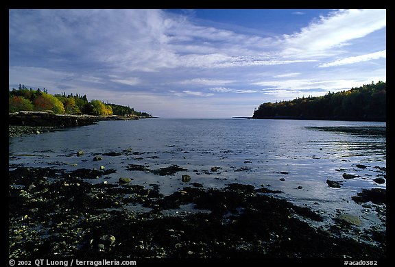 Otter Cove. Acadia National Park (color)