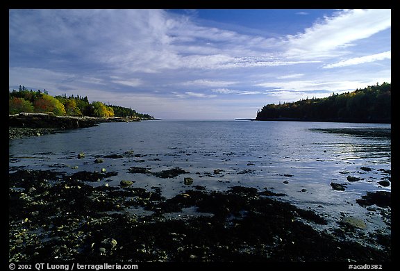 Otter Cove. Acadia National Park, Maine, USA.