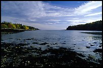 Somes sound. Acadia National Park, Maine, USA. (color)