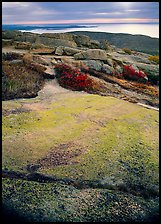 View from top of Mt Cadillac with granite slab covered with lichen. Acadia National Park ( color)