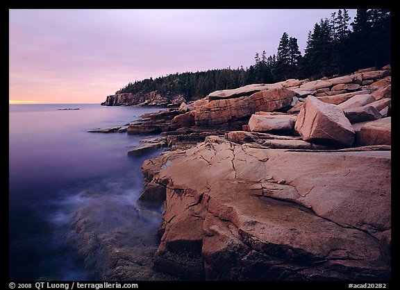 Pink granite slabs on the coast near Otter Point, sunrise. Acadia National Park (color)