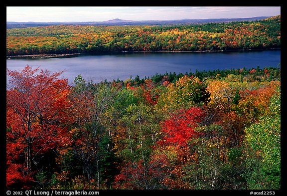 Eagle Lake and autumn colors. Acadia National Park, Maine, USA.